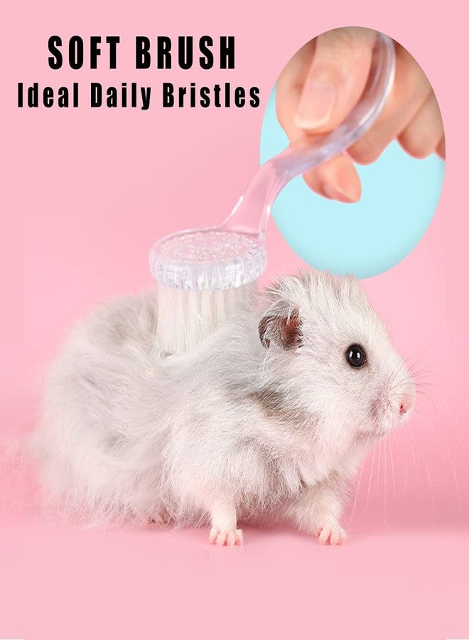 WOLEDOE 2 Pack Hamster Brush, Hedgehog Cleaning Supplies, Guinea Pig Massage Combs - Transparent - Image 2